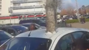Povestea din spatele copacului crescut prin mijlocul unei maşini. Poate fi admirat într-un oraş din Franţa