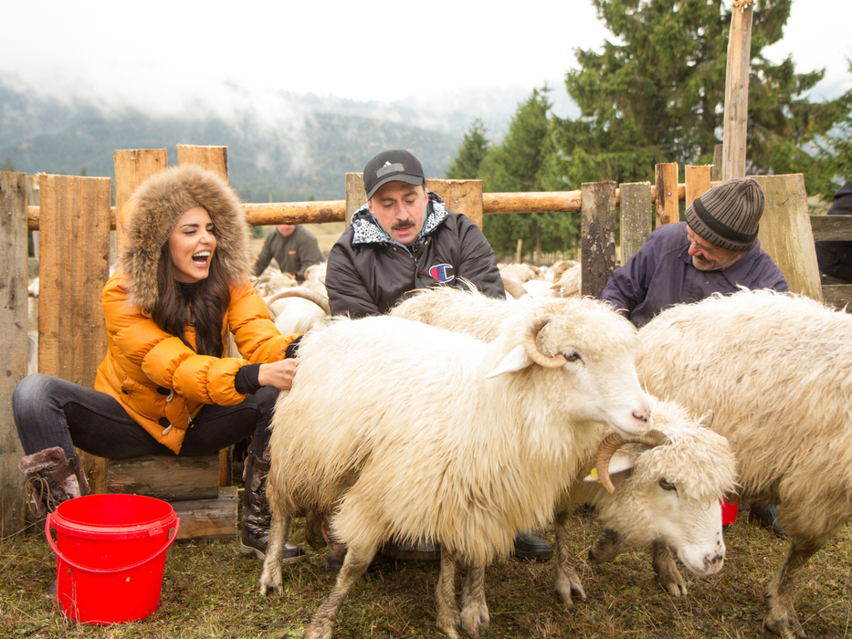 LAVINIA PÂRVA, aşa cum nu ai văzut-o niciodată! Imagini incredibile cu vedeta în timp ce încerca să mulgă oile