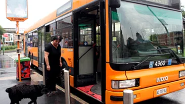 Cacao, cainele care ia in fiecare zi autobuzul prin Milano