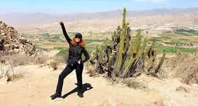 Galerie foto - poza 2