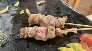 Bogdan din Ploiești a comandat souvlaki într-un restaurant din Grecia. Ți se întoarce stomacul pe dos - ce a primit!