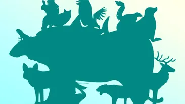 Iluzie optică virală | Câte animale sunt, de fapt, în această imagine? Dacă răspunzi corect, ești un geniu