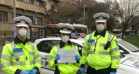 Galerie foto - poza 3