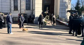 Galerie foto - poza 2