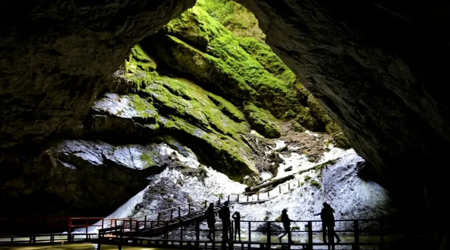 Peștera Scărișoara