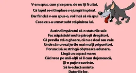 Galerie foto - poza 1