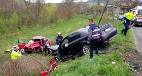 Galerie foto - poza 2