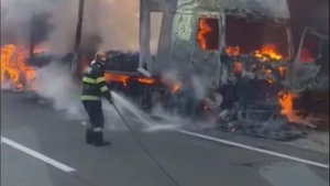 A luat foc pădurea din Giurgiu! Totul a pornit de la un camion VIDEO