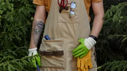 Două produse electrice Parkside, la Lidl, pentru grădină și curte, perfecte toamna