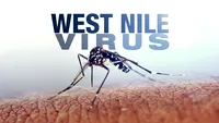 A murit la spital! Avea 75 de ani și era diagnosticată cu virusul West Nile