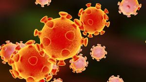 Care sunt, de fapt, cele trei tulpini de coronavirus care s-au răspândit în lume! În SUA, un alt tip de virus a ucis 500.000 de oameni