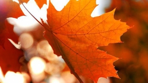 METEO 2 OCTOMBRIE! Anunţul de ultimă oră făcut de meteorologi