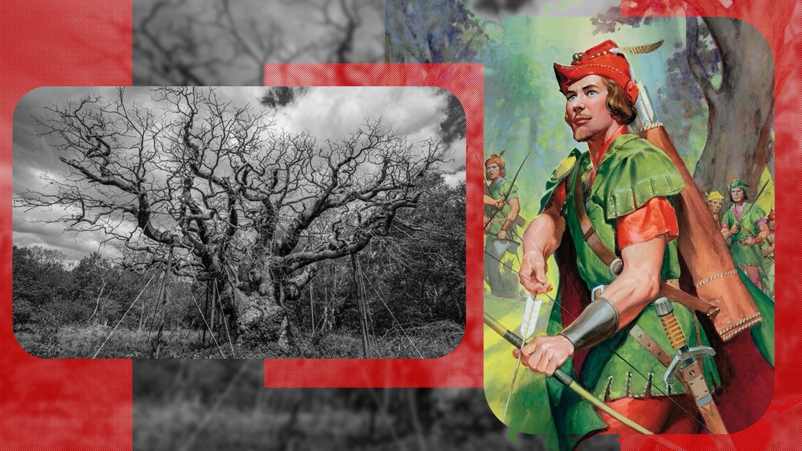 Un simbol al Marii Britanii s-a stins. Copacul în care s-ar fi ascuns Robin Hood s-a uscat de tot, după 12 secole