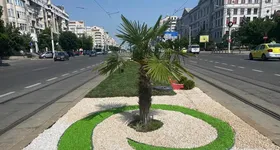 Galerie foto - poza 4