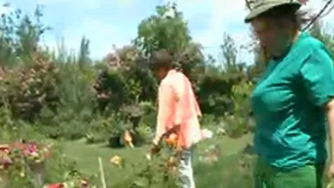 VIDEO Femeia care a angajat-o pe fiica Andei Calugareanu: Este lenea intruchipata, nu i-as da niciun milion de lei vechi pe luna