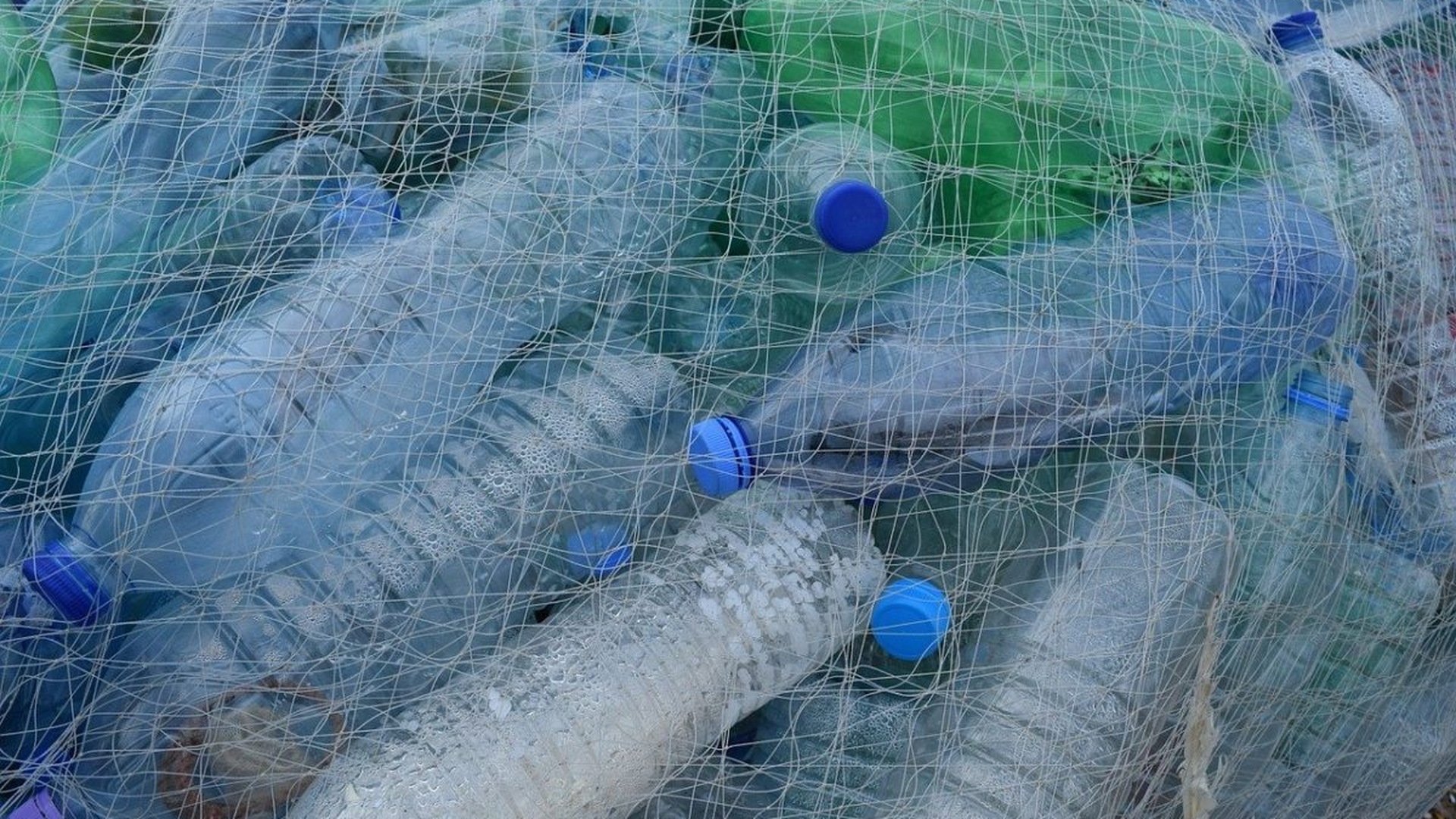 Atenție! Câți bani poți primi dacă vei aduna 10 sticle de plastic. Ministrul Mediului a făcut anunțul
