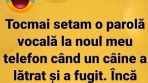 BANCUL ZILEI | Câinele și parola vocală