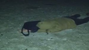 FOTO - S-a dat starul la distracţie în VAMA VECHE! Temperaturile scăzute nu au contat. Mii de tineri au băut şi dormit pe plajă fără nicio grijă