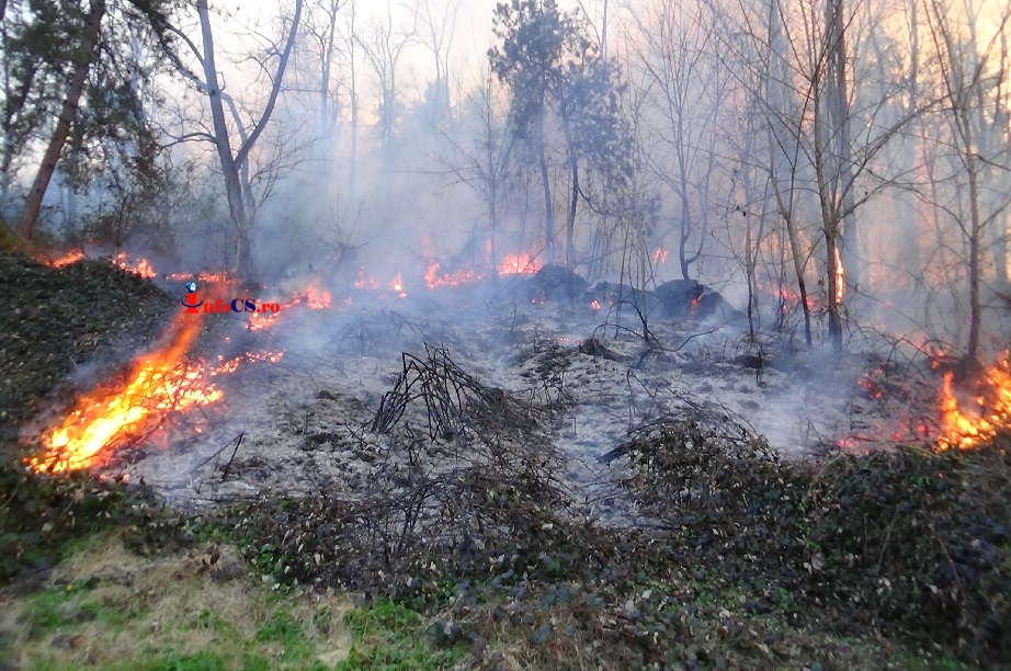 Incendiu puternic la marginea Reșiței, 150 de case în pericol. Culmea, localnicii fac selfie-uri | VIDEO