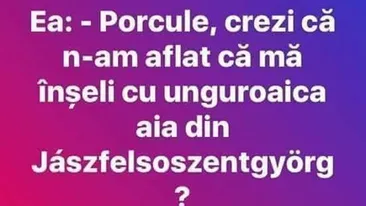BANC | Porcule, crezi că n-am aflat că mă înșeli cu unguroaica aia din Jaszfelsoszentgyorg?