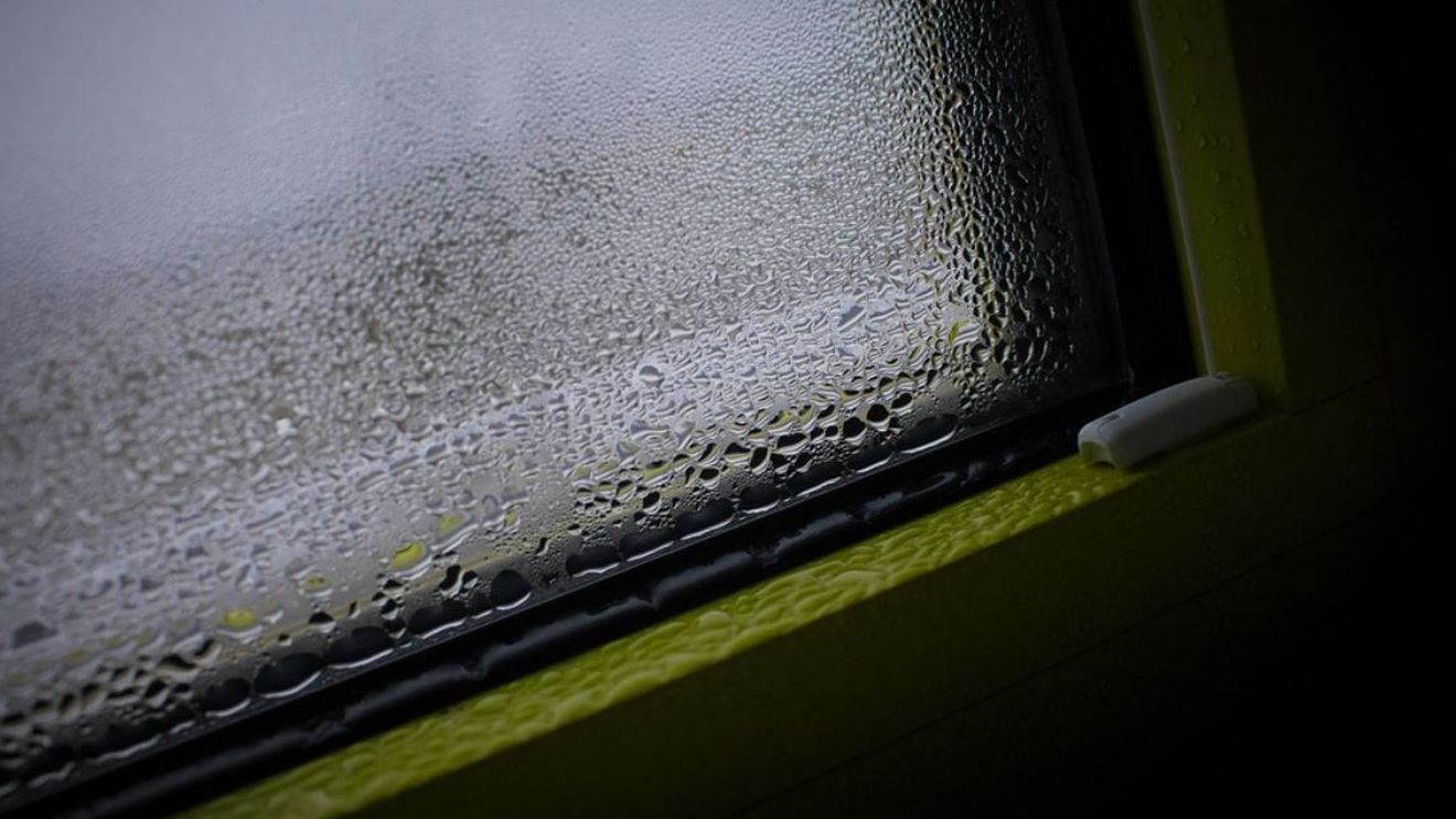 Cum scapi de condensul de pe geamuri cu un singur produs din Pet Shop. Toate gospodinele trebuie să ştie acest truc