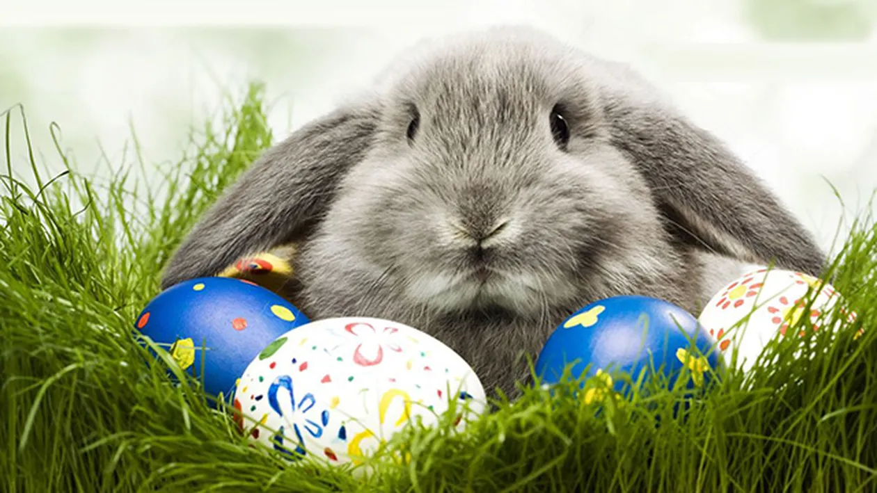 Cum sună urarea PAŞTE FERICIT în mai multe limbi străine!