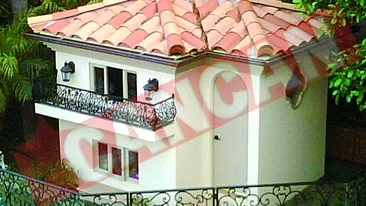 Le-a facut cotet de sapte stele