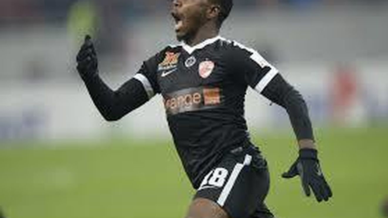 "Câinii" le promit un Crăciun de vis fanilor