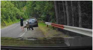 Imagini terifiante pe Transfăgărășan! Un bărbat nu a observat ursul aflat la câțiva centimetri