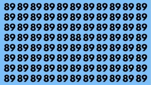 Test de perspicacitate | Găsiți numărul 88 în cel mult 5 secunde!