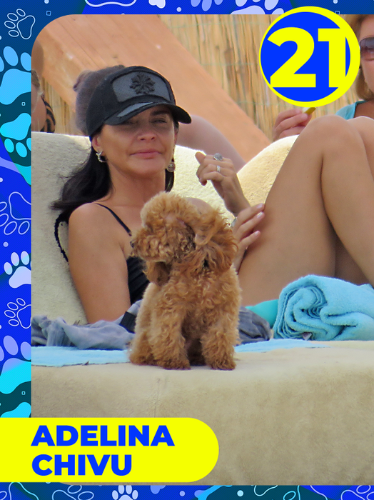 Top 25 vedete care și-au etalat costumele de baie, dar cățeii lor au făcut senzaţie! Delia, Bianca Drăgușanu sau Lora, eclipsate de patrupezi la malul mării