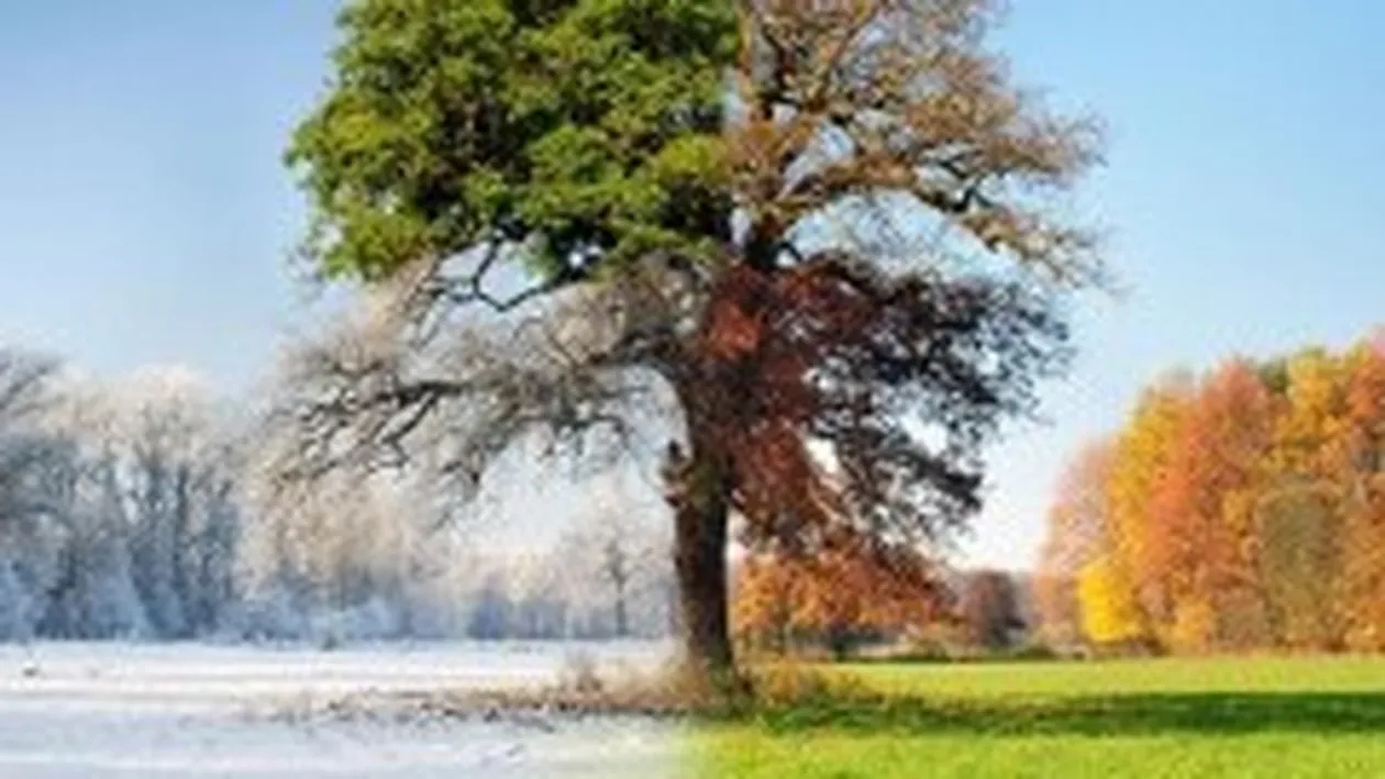 Vremea, ca o cutie cu surprize! Până vineri va fi cald, dar in weekend se intorc ninsorile. Vezi prognoza din această săptămână