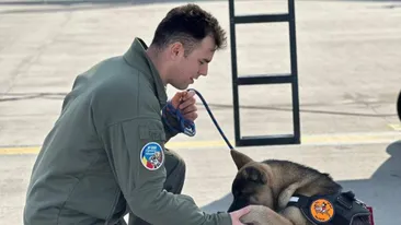 Gest incredibil de curaj al unui pilot F-16 din România. Căpitanul Octavian Palferenț a murit încercând să salveze un câine
