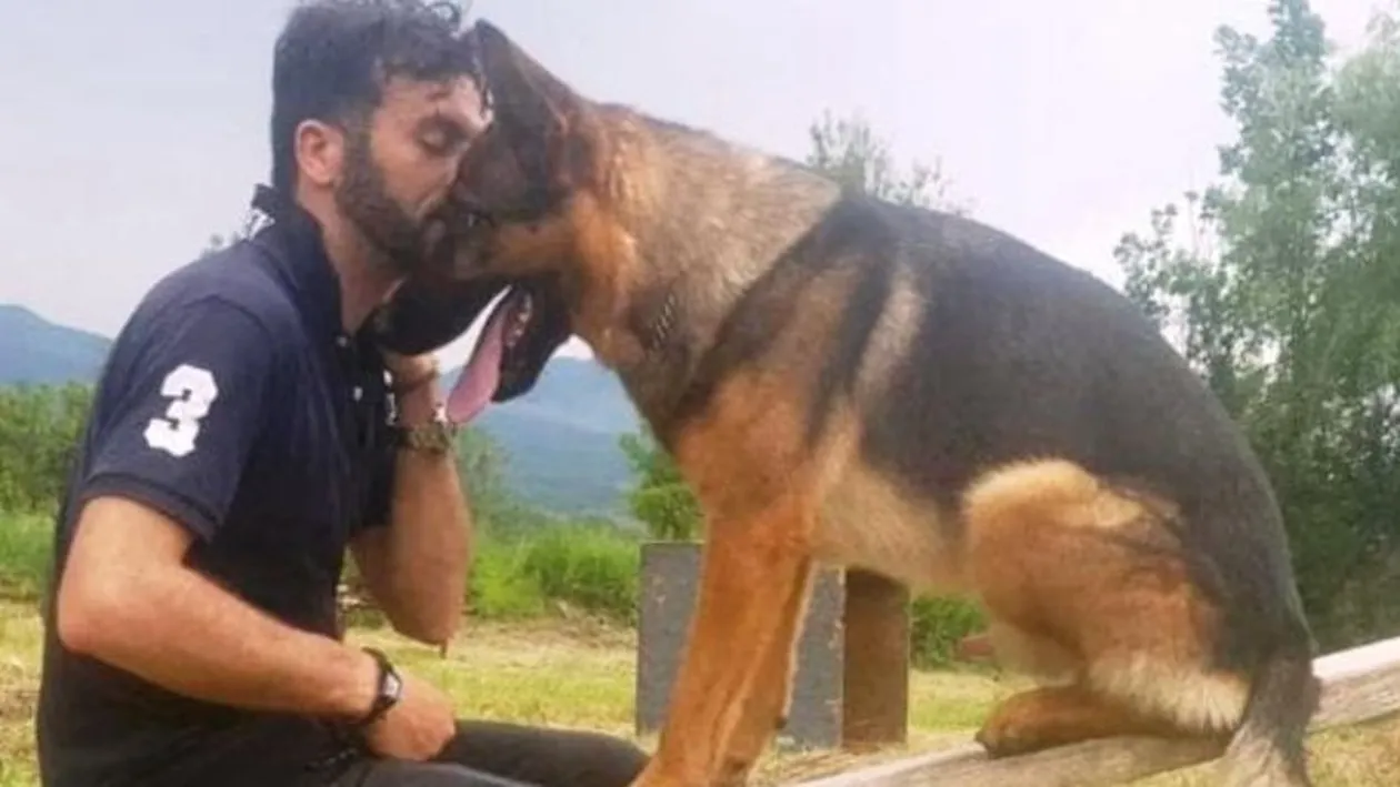 Câinele-erou de la Amatrice a fost omorât! Deși a salvat zeci de vieți, animalul a fost ucis tot de oameni