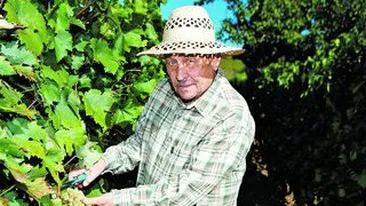 Zilierii vor plati un impozit de 16%