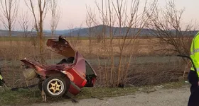 Galerie foto - poza 3