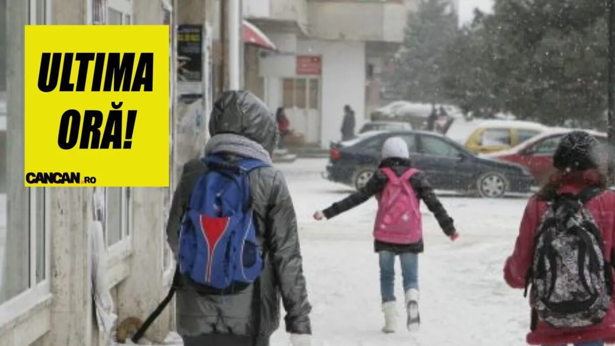 ULTIMA ORĂ! Se închid şcolile, din cauza viscolului! Unde se vor ţine cursuri online