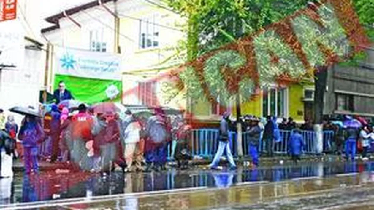 Becali da faina, ulei si pune termopane