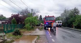 Galerie foto - poza 2