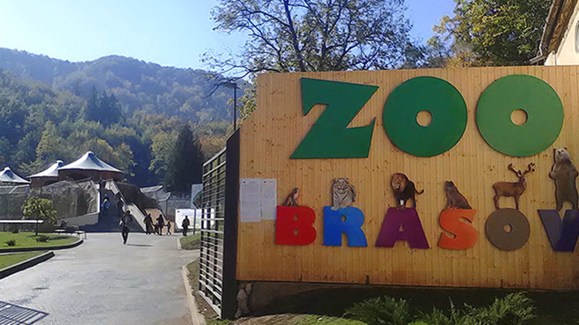 S-a intamplat la Brasov! Vezi cum a furat o maimuta telefonul unui barbat in ultima zi a anului
