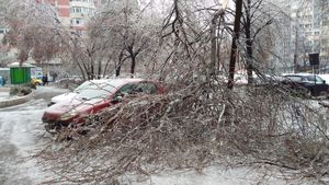 Șase copaci căzuți din cauza furtunii în Capitală, trei mașini avariate. Doi pietoni au fost răniți
