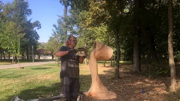 FOTO. Minunăţiile sculptorului cu drujba. Transformă copacii uscaţi din Craiova în opere de artă