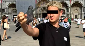 Galerie foto - poza 2