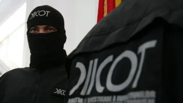 Plantații de cannabis în valoare de 500.000 de euro, găsite de DIICOT în gospodăriile unor vâlceni