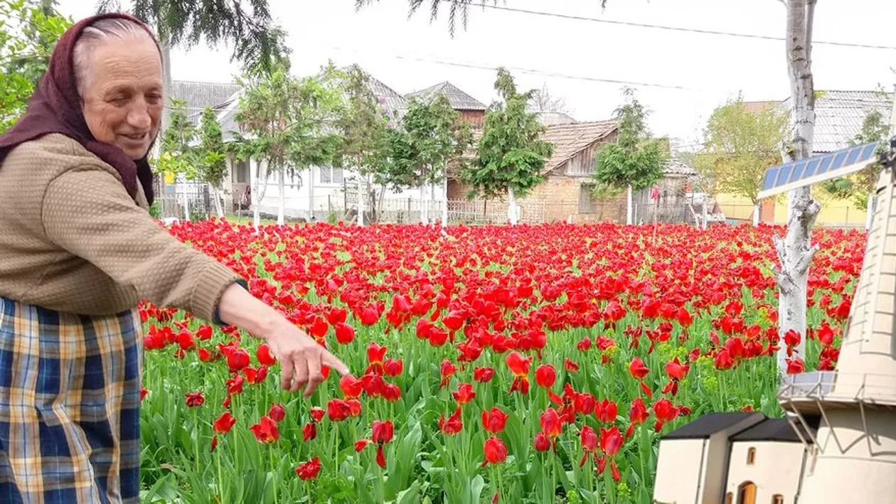 Casa ei a devenit loc de ”pelerinaj”! Ce a apărut în grădina unei maramureșence