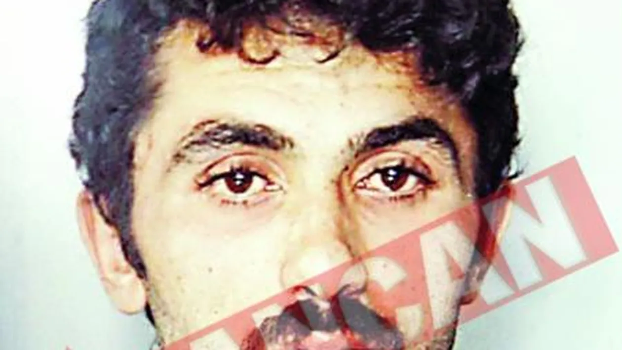 Mailat pledeaza vinovat pentru furt