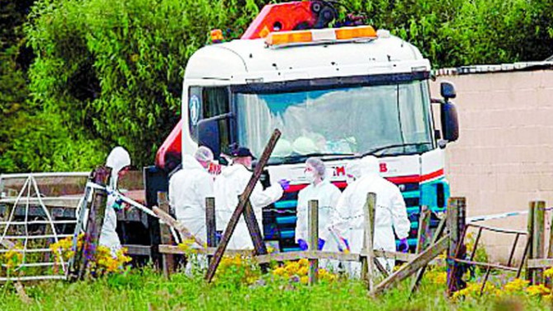 Si-a calcat nevasta cu un camion