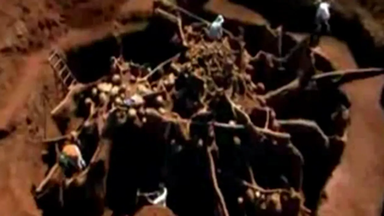 Cea de-a 8-a minune a lumii! Uite cum arata un oras al furnicilor sapat la zece metri sub pamant si intins pe zeci de metri patrati