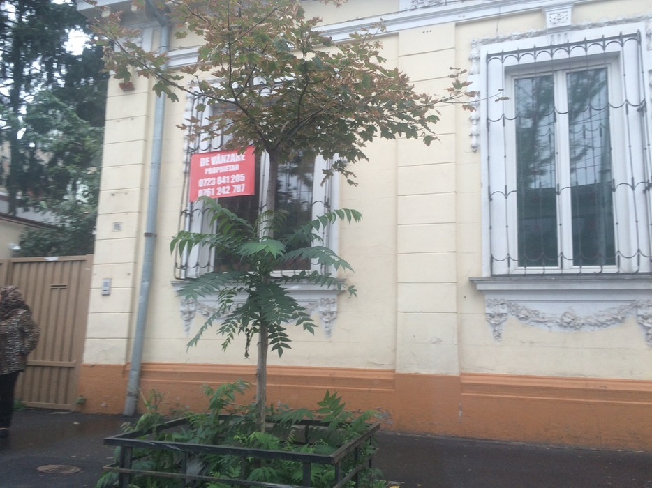 Oana şi Viorel Lis au reuşit să scape de vila-bordel! S-au chinuit trei ani să vândă imobilul