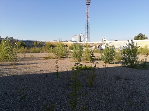 Uluitor cum arată celebrul stadion unde Mirel Rădoi a fost amenințat cu moartea: ”Fugiți…”